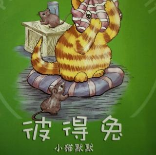 睡前故事340——《小猫默默》