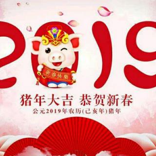 2019，新年快乐！