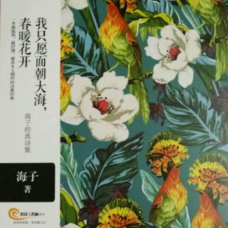 第237天为你读诗之海子《以梦为马》