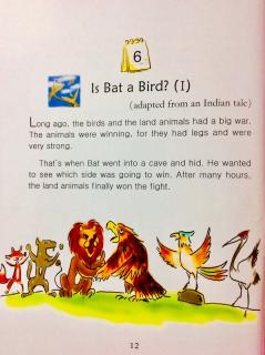 12-6🦇&🕊Is Bat a Bird？(1)