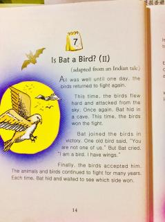 12-7 🦇Is Bat a Bird？(2)