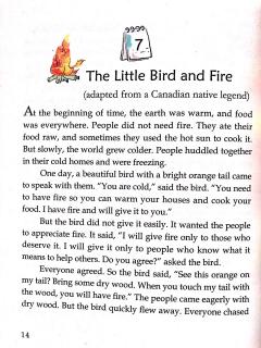 The Little Bird and Fire-20190207