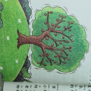 小柳树和小枣树手抄报图片