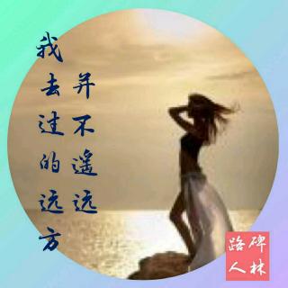 《我去过的远方并不遥远》/作者：碑林路人