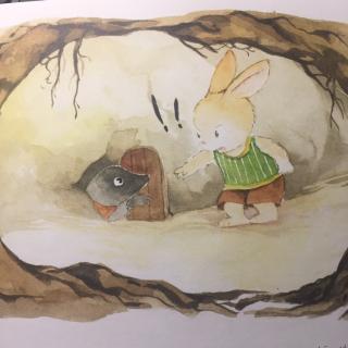 睡前故事--树洞里的朋友🐻