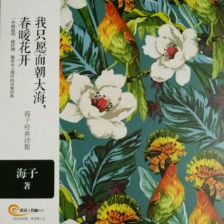 第239天为你读诗之海子《野鸽子》