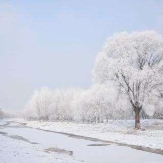 《雪、抑或我们虚拟的爱情》－堆雪