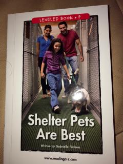 Shelter Pets Are  BEST