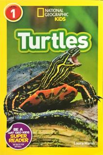 194. Turtles