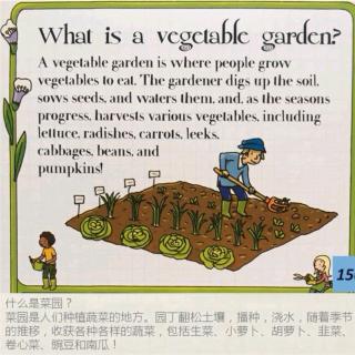 Plants 39 What is a vegetable garden?菜园