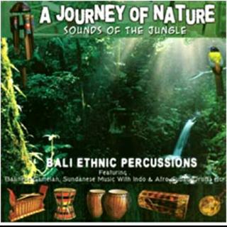 流瑜伽音乐@A Journey of Nature : Sounds of the Jungle