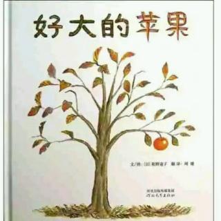 【绘本故事590】——《好大的苹果🍎》