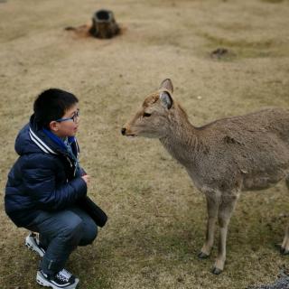 20190212日本奈良第四日