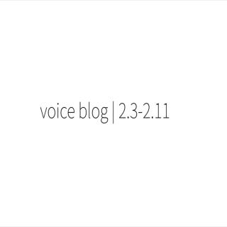 【voice blog】| 年又一年也是普通一年