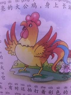 看图写话大公鸡