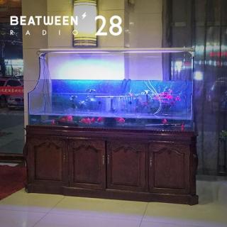 Beatween Radio 28 - Jiaming