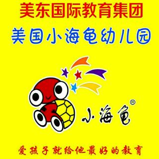 美国小海龟幼儿园睡前故事《小灰熊藏宝》