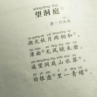 44号 于青鑫 古诗《望洞庭》