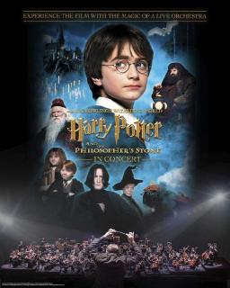 Harry Potter D4