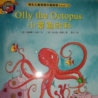 Olly the octopus