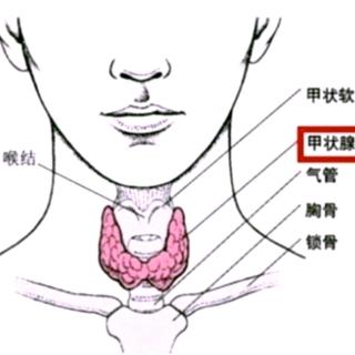 慢性淋巴细胞性甲状腺炎的预后怎么样？