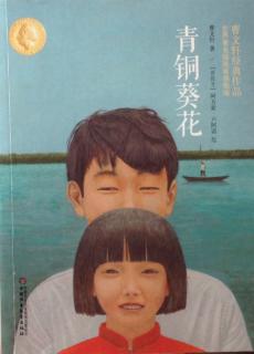 青铜葵花 金茅草(五)3 我的感受