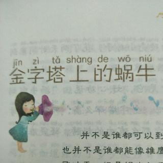 《金字塔上的蜗牛》