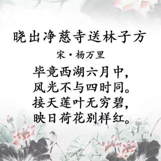 古诗赏析晓出净慈寺送林子方杨万里
