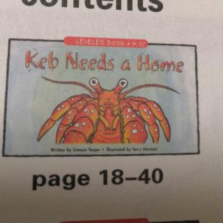 Ked Needs a Home