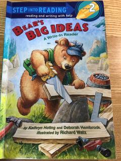 Bear’s Big Ideas