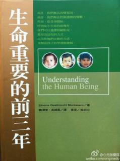 “照顾方式与社会性互动”至“内在身心的结合”第93-98页