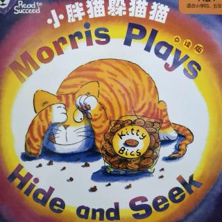 Morris  plays Hide and seek