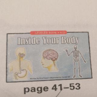 Inside Your Body