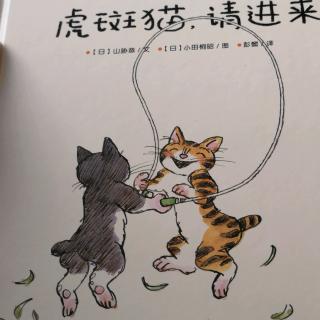 虎斑猫，请进来