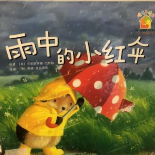 雨中的小红伞