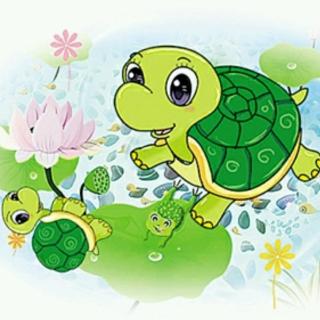 小乌龟找妈妈