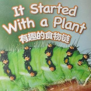 《It Started With a Plant》