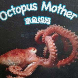 《Ootopus Mother》