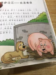 20190218泥菩萨过江-自身难保.