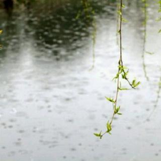 2月19日——春雨贵如油