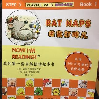 step 3-1-Rat Naps