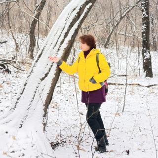 雪释繁华牵旧梦  作者:今之  主播:沫非