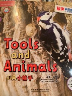 Tools and Animals