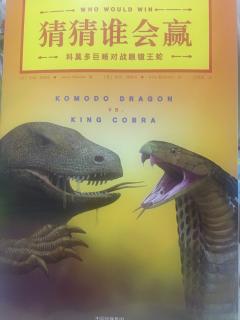 猜猜谁会赢-科摩多巨蜥和眼镜王蛇20190221195308