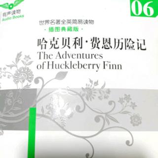 The Adventures of Huckleberry Finn ⑧
