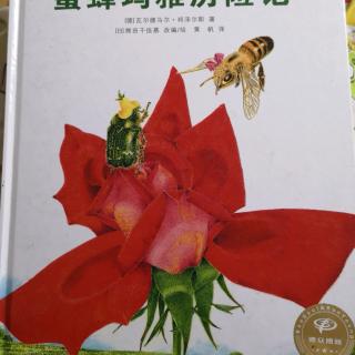 《蜜蜂玛雅历险记》熊田千佳慕的世界