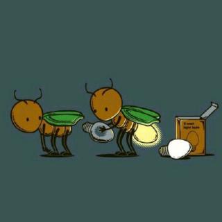 《小蜗牛的灯笼》