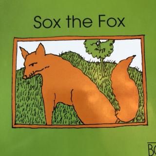 Sox the Fox20190222