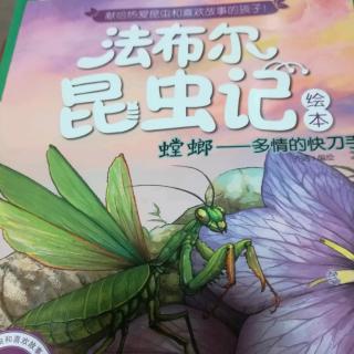 法布尔昆虫记螳螂4