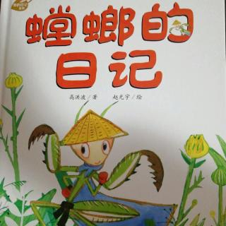 绘本故事《螳螂的日记》
